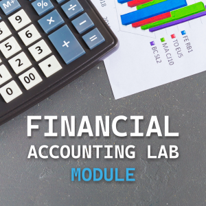 Financial Accounting Lab Module
