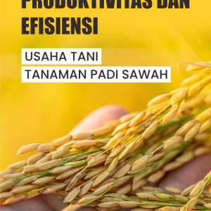 Produktivitas dan Efisiensi Usaha Tani Tanaman Padi Sawah