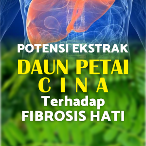 Potensi Ekstrak Daun Petai Cina terhadap Fibrosis Hati
