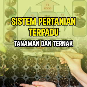SISTEM PERTANIAN TERPADU TANAMAN DAN TERNAK