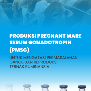 PRODUKSI PREGNANT MARE SERUM GONADOTROPIN (PMSG) UNTUK MENGATASI PERMASALAHAN GANGGUAN REPRODUKSI TERNAK RUMINANSIA