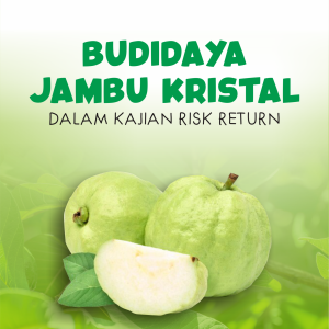 BUDIDAYA JAMBU KRISTAL DALAM KAJIAN RISK RETURN