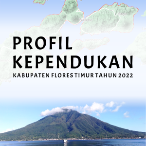 PROFIL KEPENDUKAN KABUPATEN FLORES TIMUR TAHUN 2022