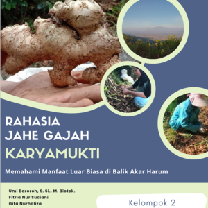 RAHASIA JAHE GAJAH KARYAMUKTI: Memahami Manfaat Luar Biasa di Balik Akar Harum