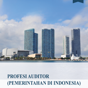 PROFESI AUDITOR (PEMERINTAHAN DI INDONESIA)