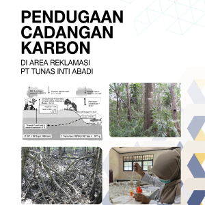 PENDUGAAN CADANGAN KARBON DI AREA REKLAMASI  PT TUNAS INTI ABADI