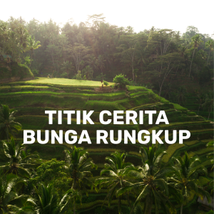 Titik Cerita Bunga Rungkup