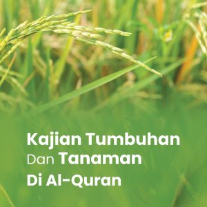 KAJIAN TUMBUHAN DAN TANAMAN DI  AL-QURAN