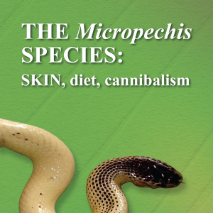 THE MICROPECHIS  SPECIES: SKIN, DIET,  CANNIBALISM