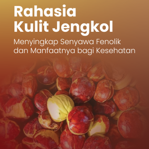 Rahasia Kulit Jengkol Menyingkap Senyawa Fenolik dan Manfaatnya bagi Kesehatan